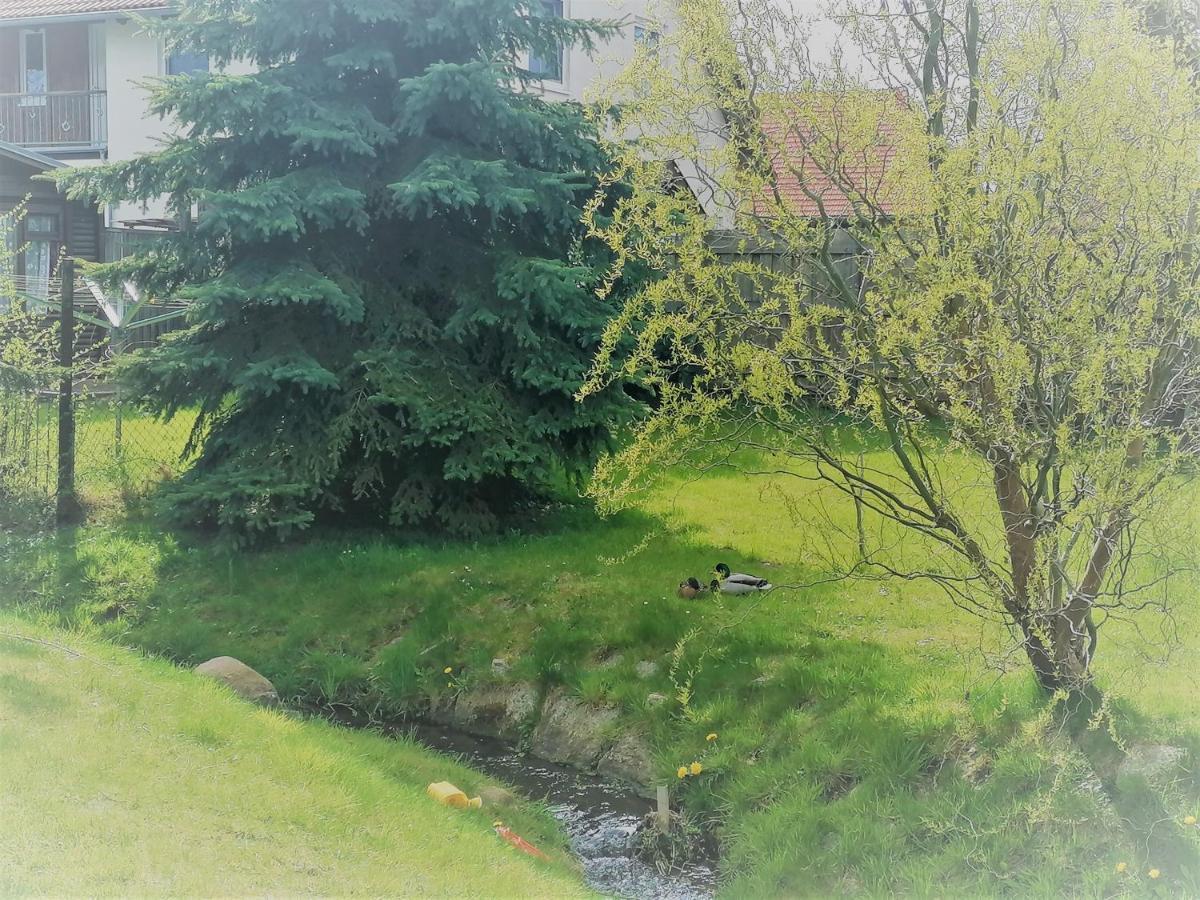 Urlaub Beim Schmied Appartement Ostseebad Kühlungsborn Buitenkant foto