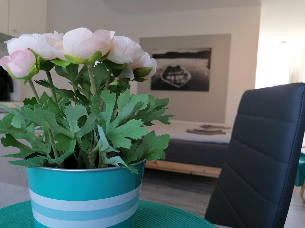 Urlaub Beim Schmied Appartement Ostseebad Kühlungsborn Buitenkant foto
