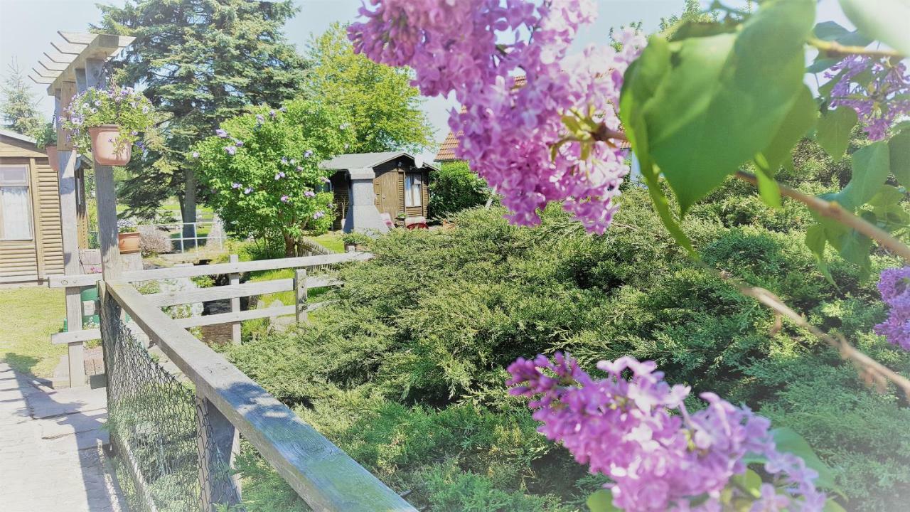 Urlaub Beim Schmied Appartement Ostseebad Kühlungsborn Buitenkant foto
